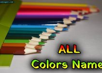 101+ Colours Name: Learn Colors Name in Hindi & English